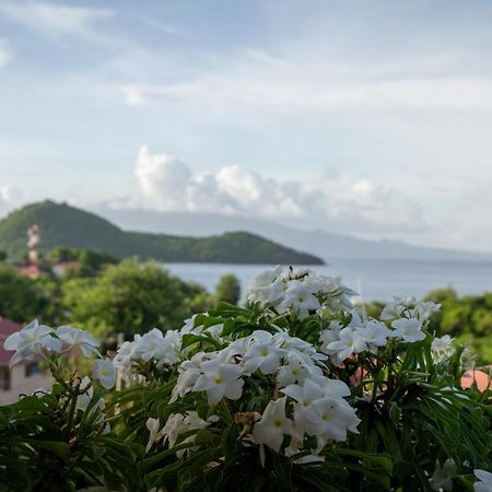 Bungalow Anse Figuier Terre-De-Haut Eksteriør billede