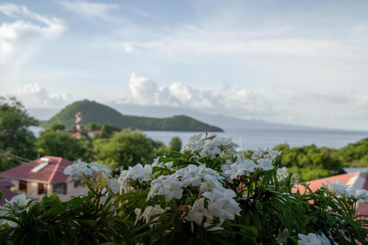 Bungalow Anse Figuier Terre-De-Haut Eksteriør billede