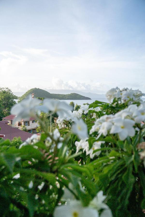 Bungalow Anse Figuier Terre-De-Haut Eksteriør billede
