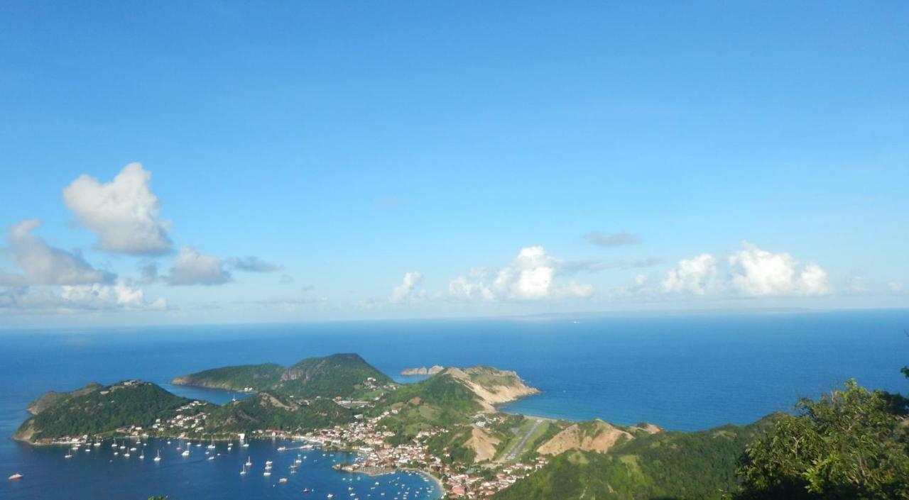 Bungalow Anse Figuier Terre-De-Haut Eksteriør billede