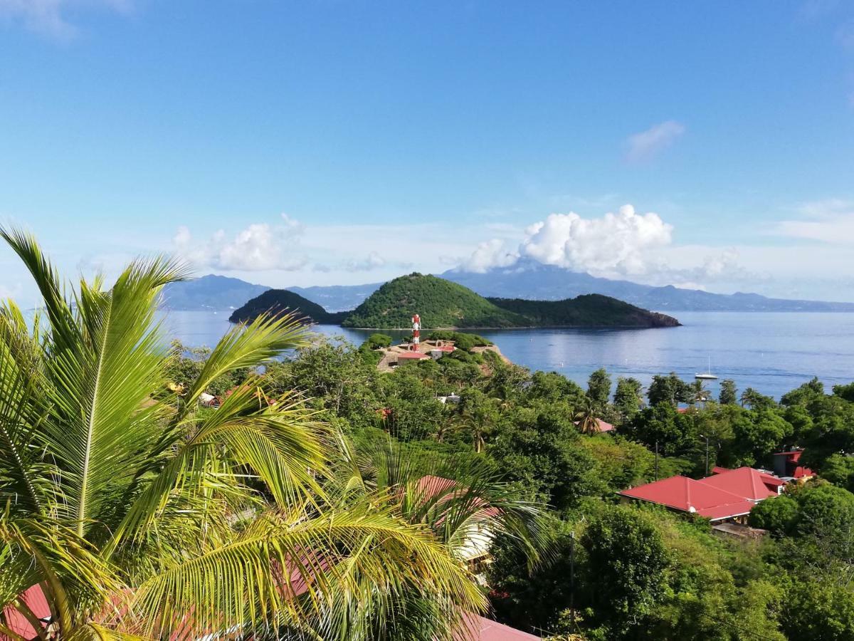 Bungalow Anse Figuier Terre-De-Haut Eksteriør billede