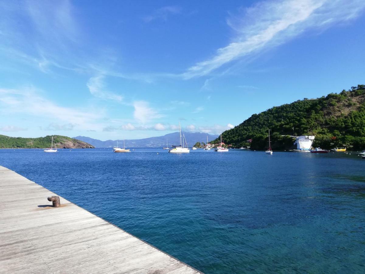 Bungalow Anse Figuier Terre-De-Haut Eksteriør billede